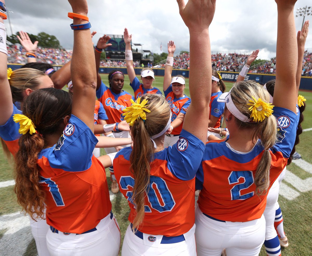 florida gators softball sunflower shirt