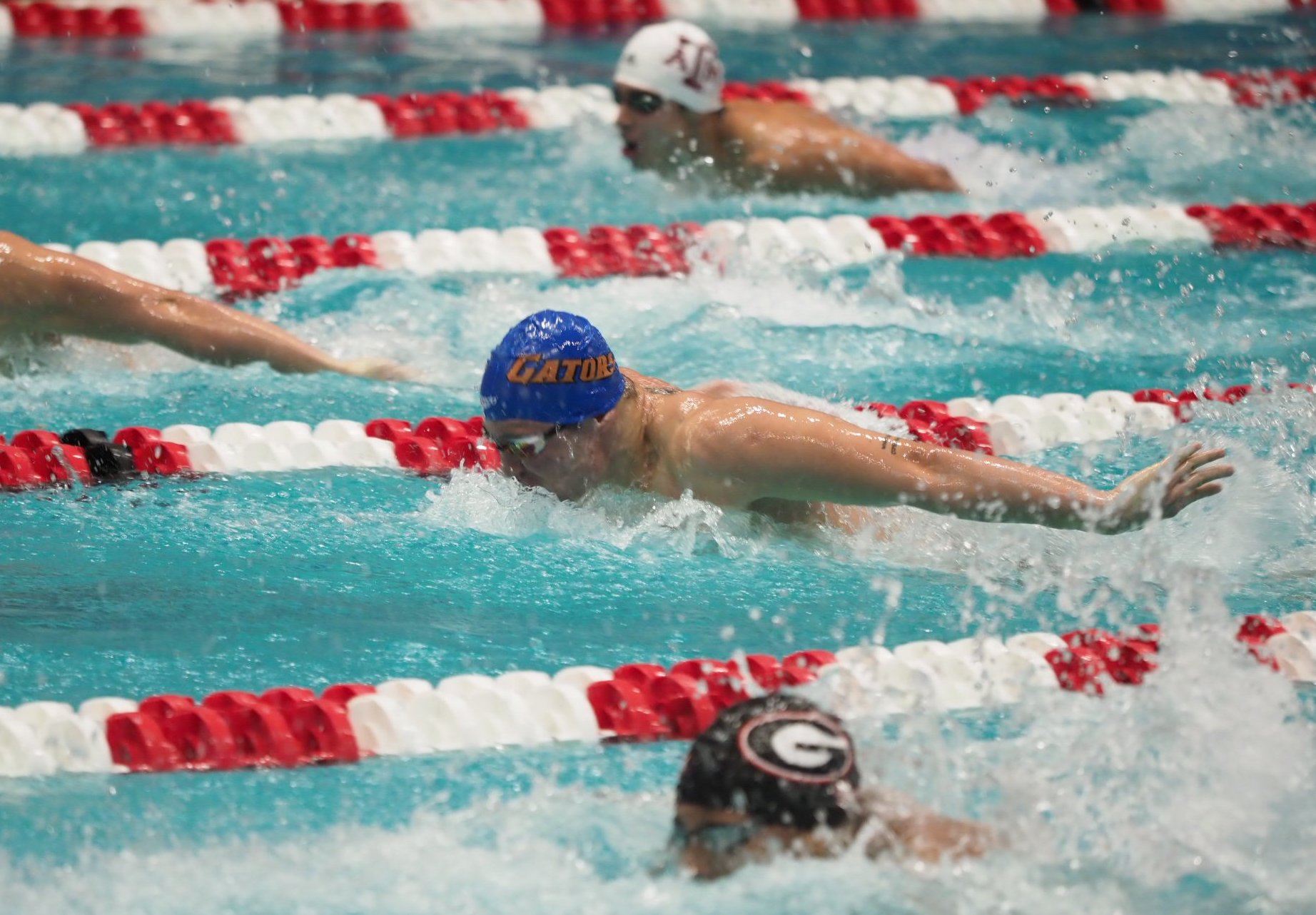 Florida Swimming and Diving Teams Compete in the SEC Championship