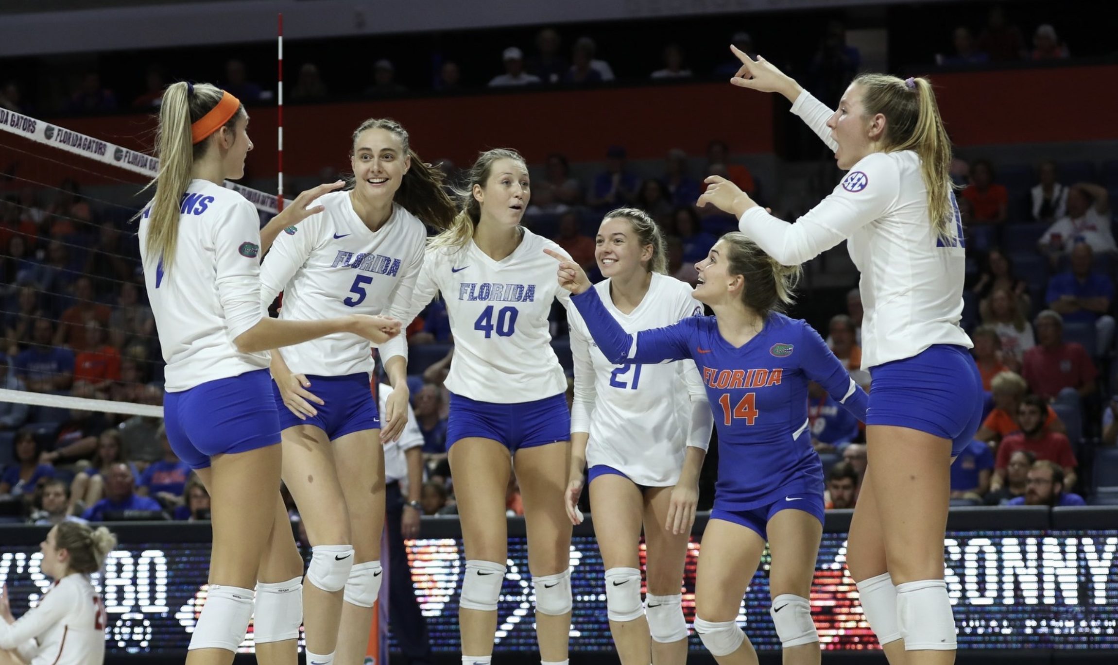 Gators Volley Prepares for Top 25 Tigers - ESPN 98.1 FM - 850 AM WRUF