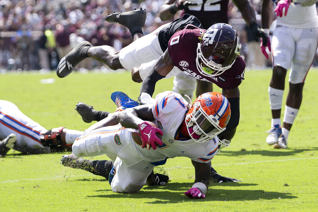 Gators lose College World Series to LSU Tigers - WUFT News